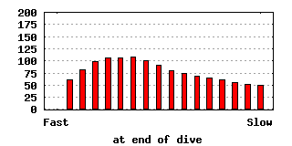 dive-0009-640x320.png