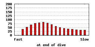 dive-0010-640x320.png
