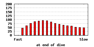 dive-0011-640x320.png