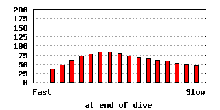 dive-0013-640x320.png