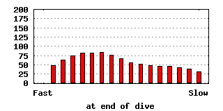 dive-0015-640x320.png