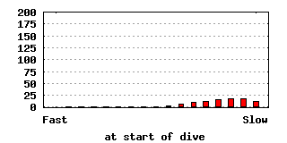 dive-0015-640x320.png