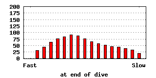 dive-0016-640x320.png