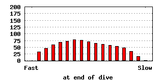 dive-0017-640x320.png