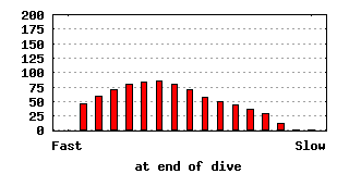 dive-0018-640x320.png